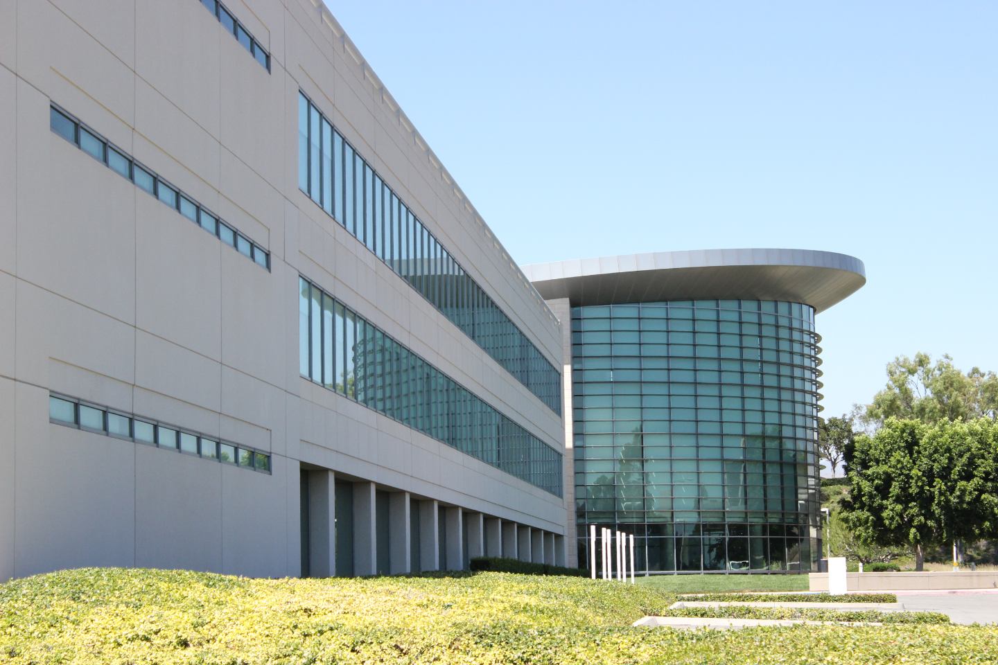 Slide Image